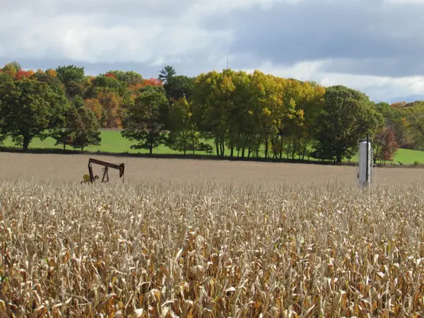 V/L 0000 Briggs, Stanton, MI 48888