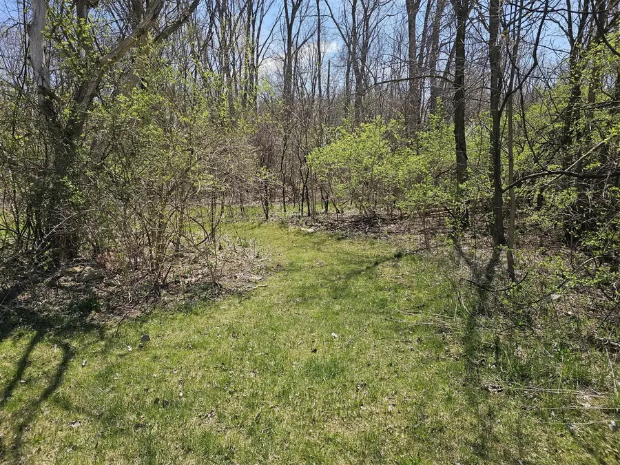 V/L Webber, Ionia, MI 48846 - #3