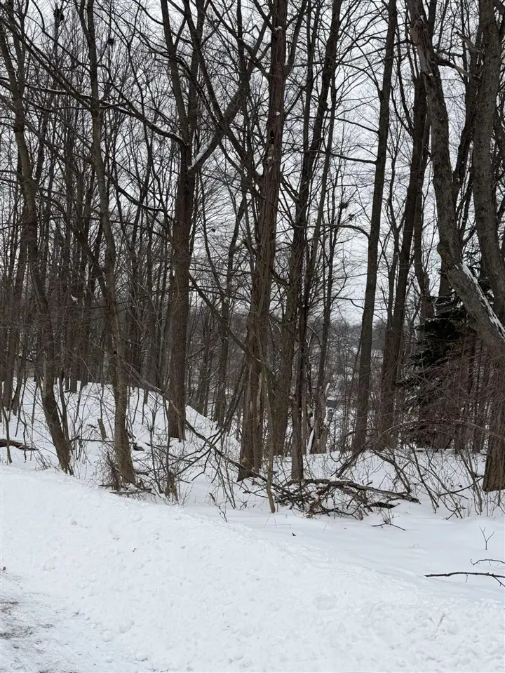 313 W Spruce, Big Rapids, MI 49307 - Image #2