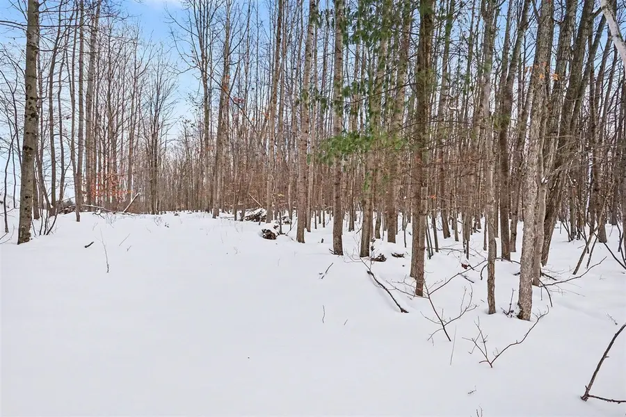 18.9 Acres S 176th, Hesperia, MI 49421 - #2