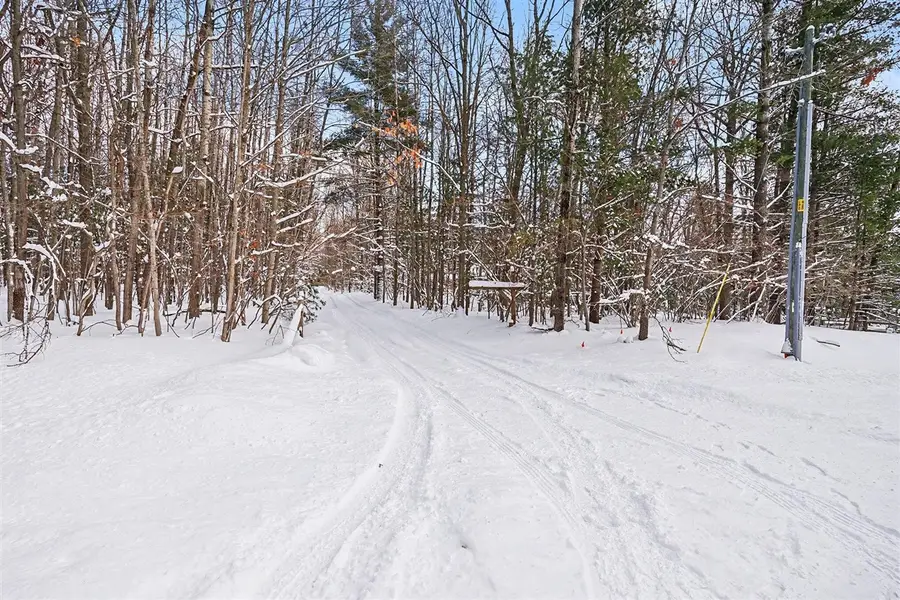 18.9 Acres S 176th, Hesperia, MI 49421 - #3