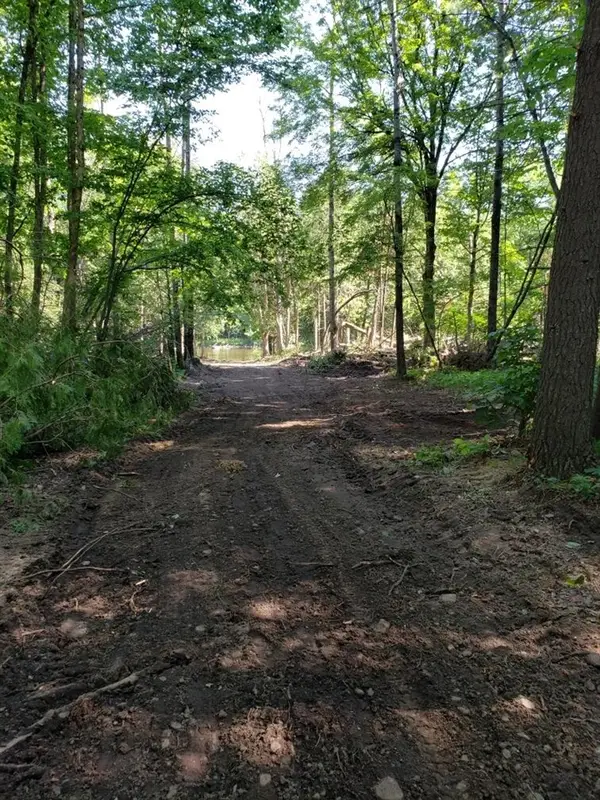 Blue Vista, Evart, MI 49631