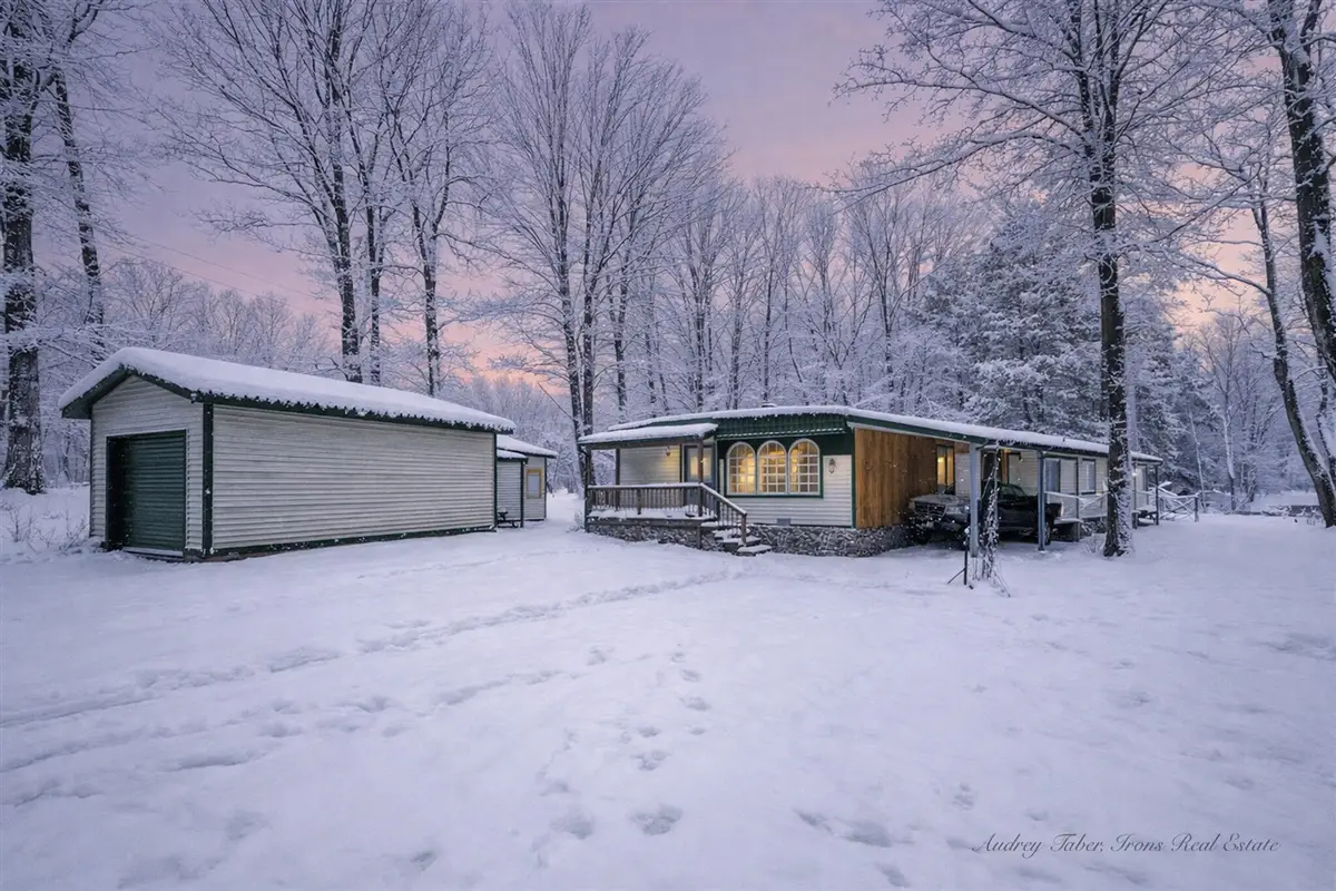 8933 E M 20, Hesperia, MI 49421 - #1