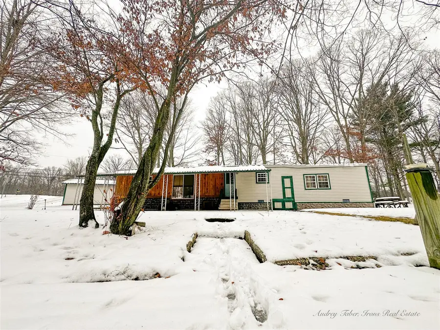 8933 E M 20, Hesperia, MI 49421 - #3