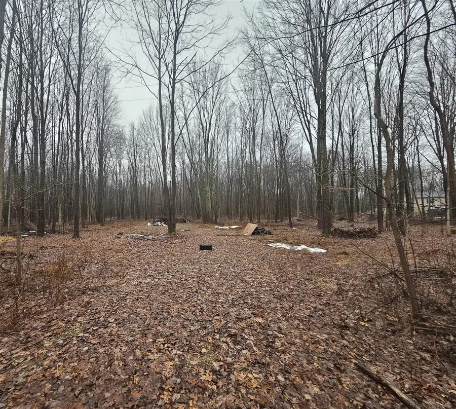 25121 Baseline, Allegan, MI 49010 - Image #2