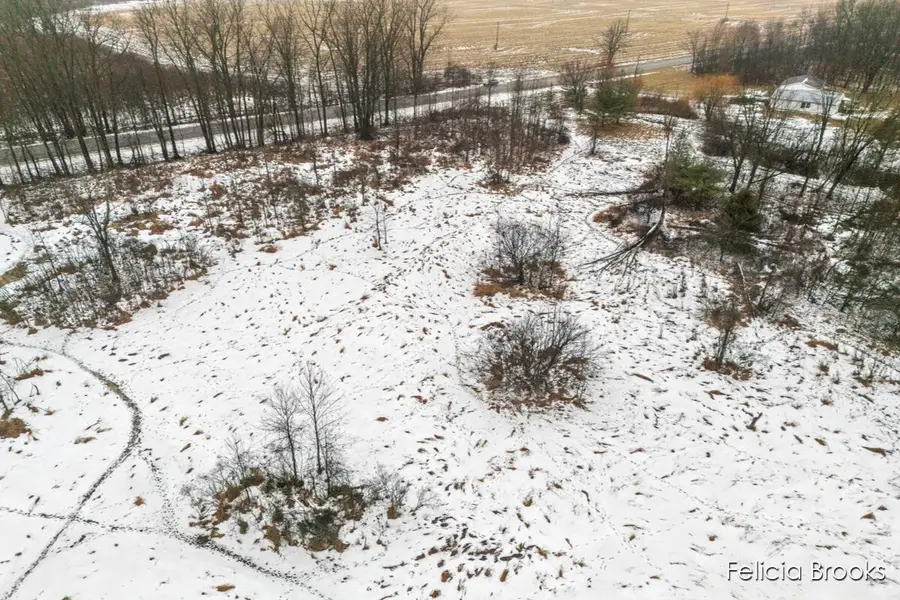 17580 Pine Lake, Sand Lake, MI 49343 - Image #3