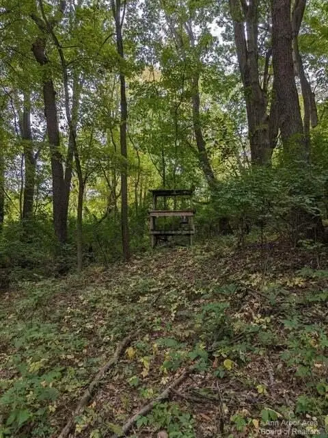 20 AC VL Sears, Horton, MI 49246 - Image #3