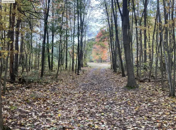 0 130th, Fennville, MI 49408