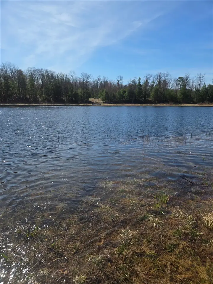 1089 Greensview, Manistee, MI 49660 - #2