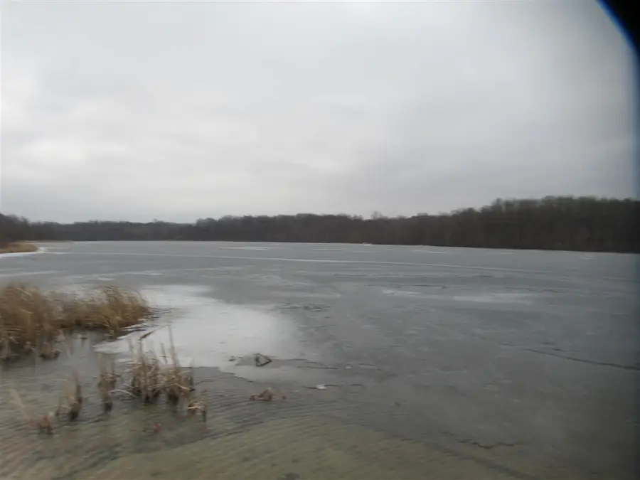 17673 Long Lake, Cassopolis, MI 49031 - #2