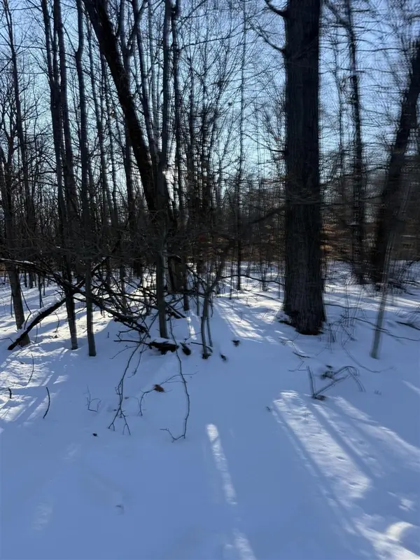 V/L Lot 44 Alpine Dr, Reed City, MI 49677