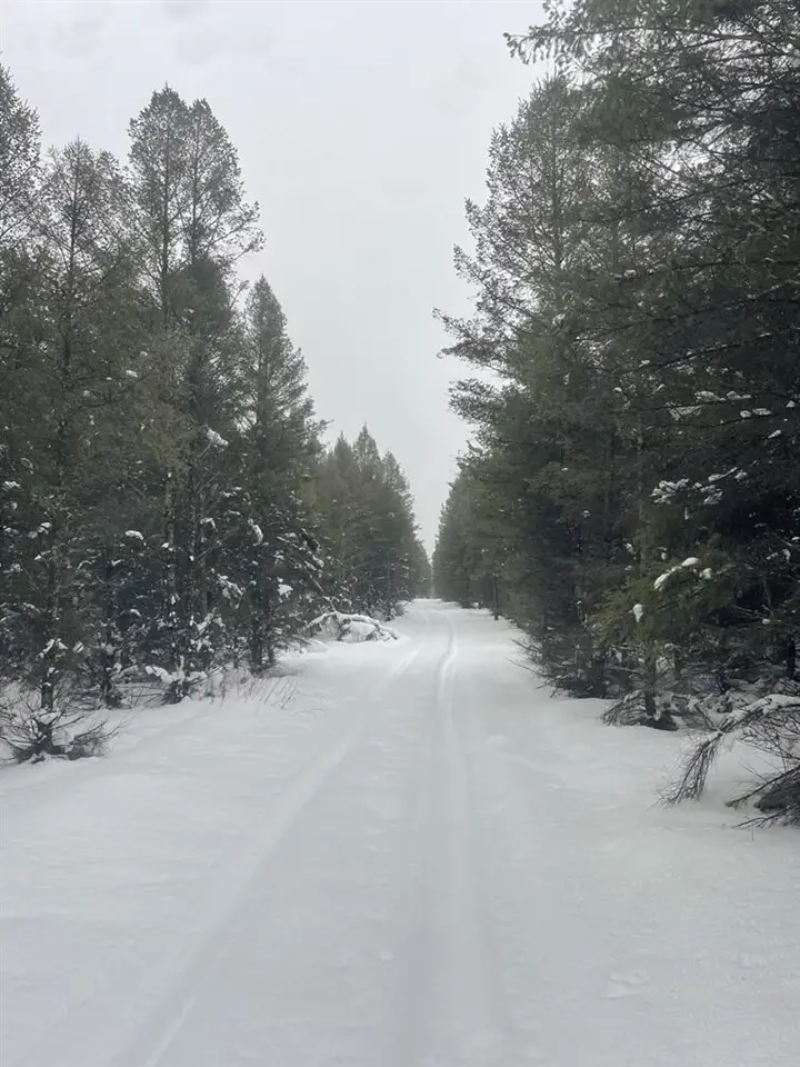 20350 Lindy, Copemish, MI 49625 - Image #2