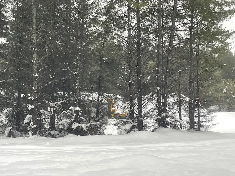 20350 Lindy, Copemish, MI 49625 - Image #3