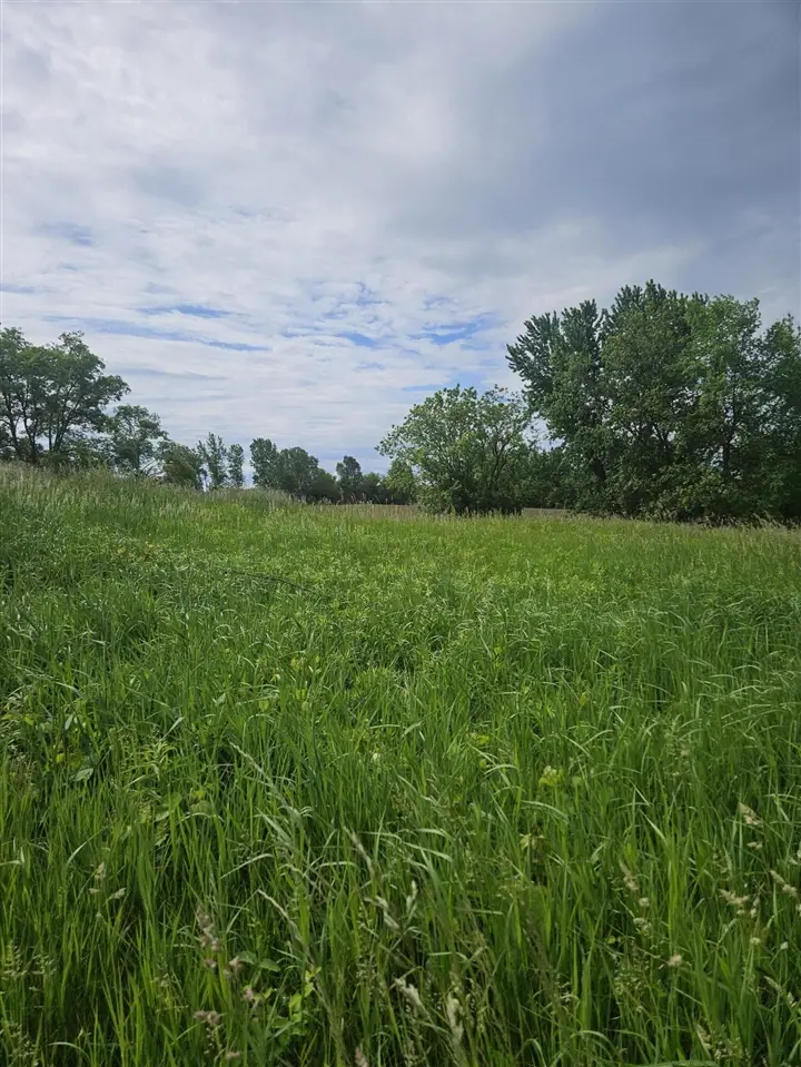 10800 Crooked Lake, Rockford, MI 49341 - Image #2