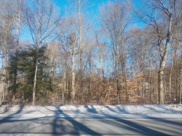 Lot A 142nd, Dorr, MI 49323