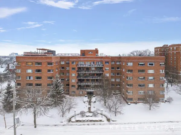 505 Cherry #217, Grand Rapids, MI 49503