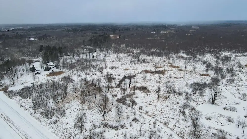 78.5 Acres Alabaster, Tawas City, MI 48763 - Image #1