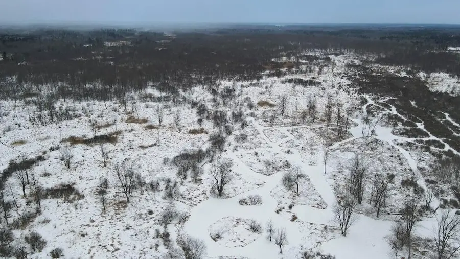 78.5 Acres Alabaster, Tawas City, MI 48763 - Image #2