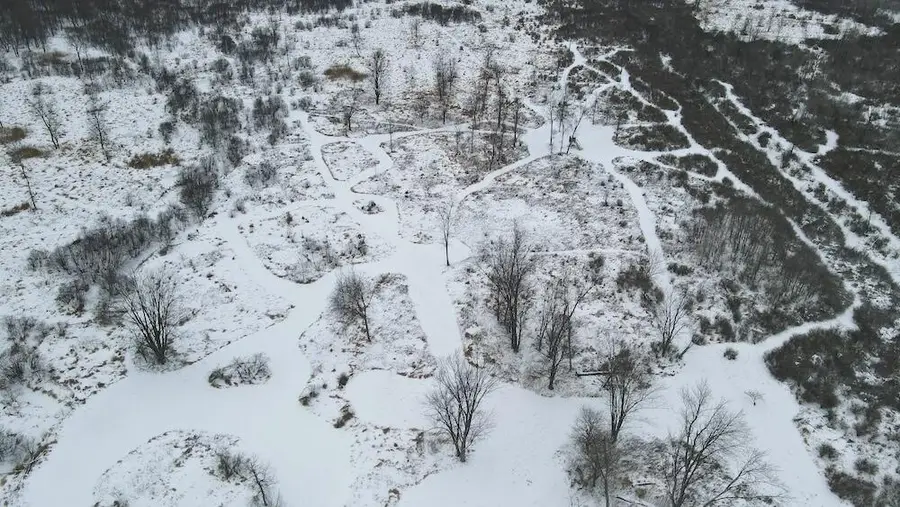 78.5 Acres Alabaster, Tawas City, MI 48763 - Image #3