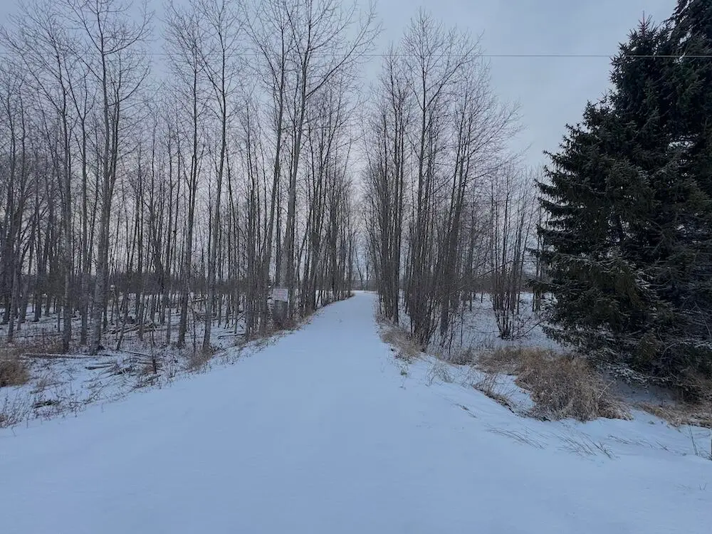 1.5 Acres Alabaster, Tawas City, MI 48763 - Image #1