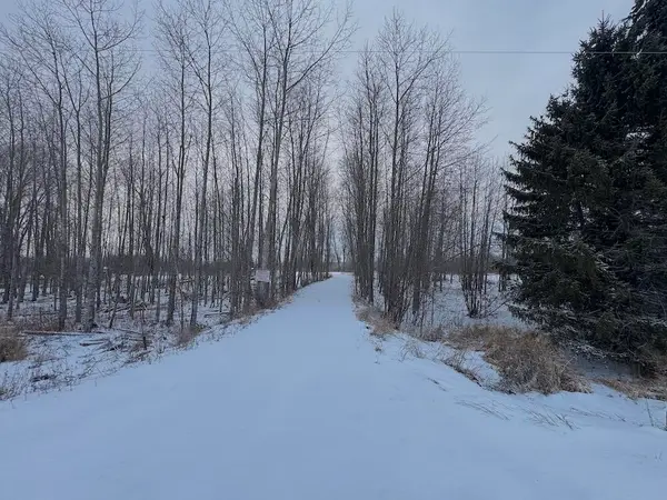 1.5 Acres Alabaster, Tawas City, MI 48763