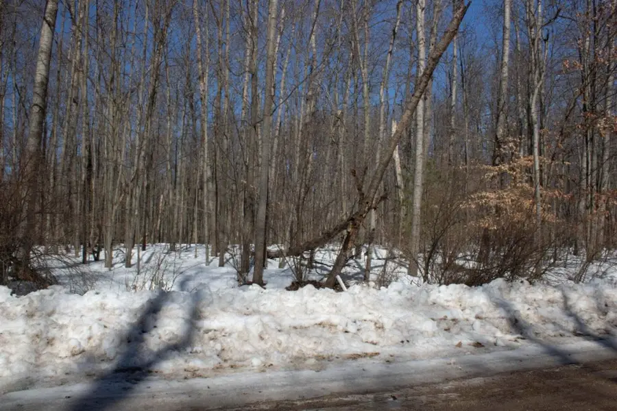 8158 Highland, Canadian Lakes, MI 49346 - Image #2