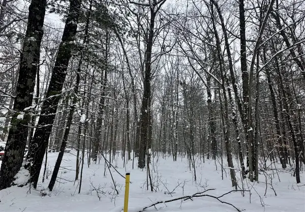 00 Saux, Big Rapids, MI 49307