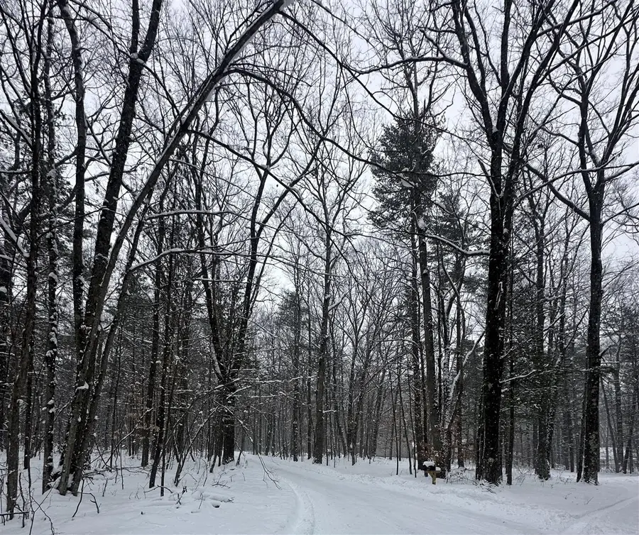00 Saux, Big Rapids, MI 49307 - #2