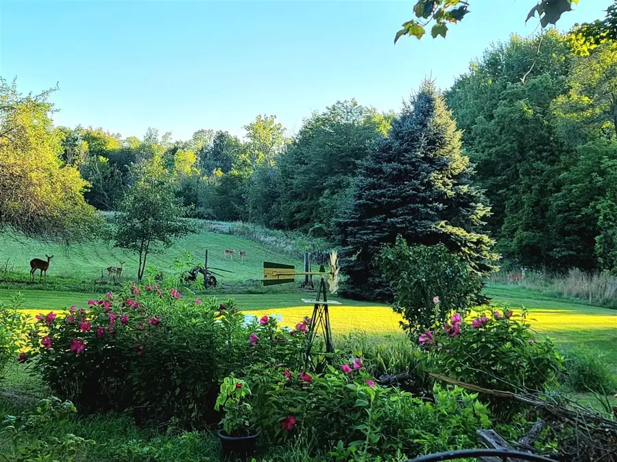 4885 Gavin Lake, Ada, MI 49301 - Image #2