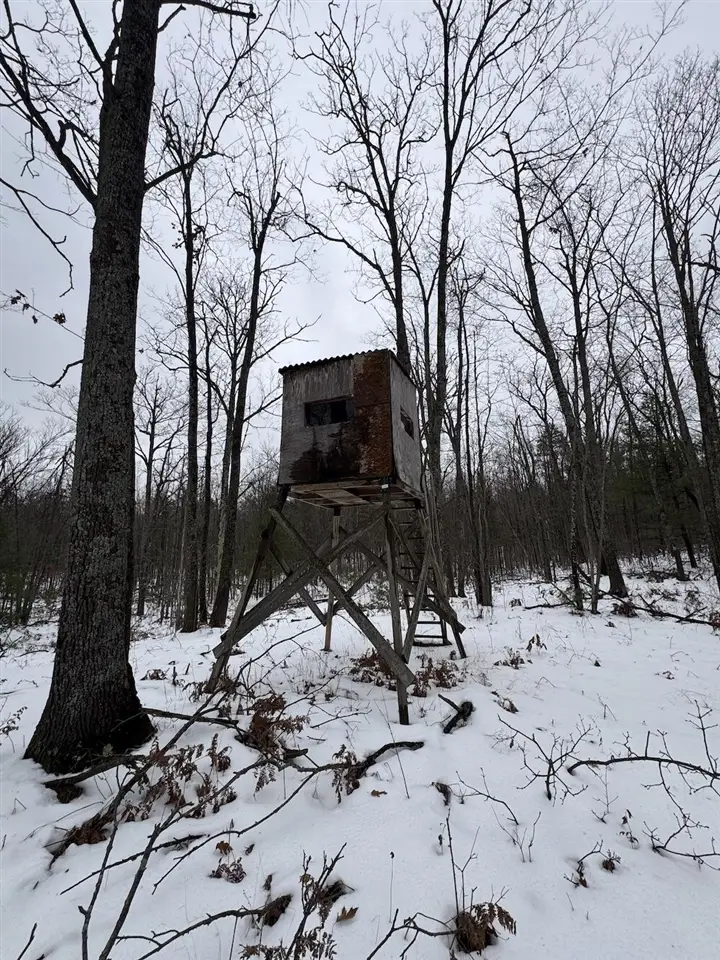 12871 Michigan 33, Atlanta, MI 49709 - Image #3