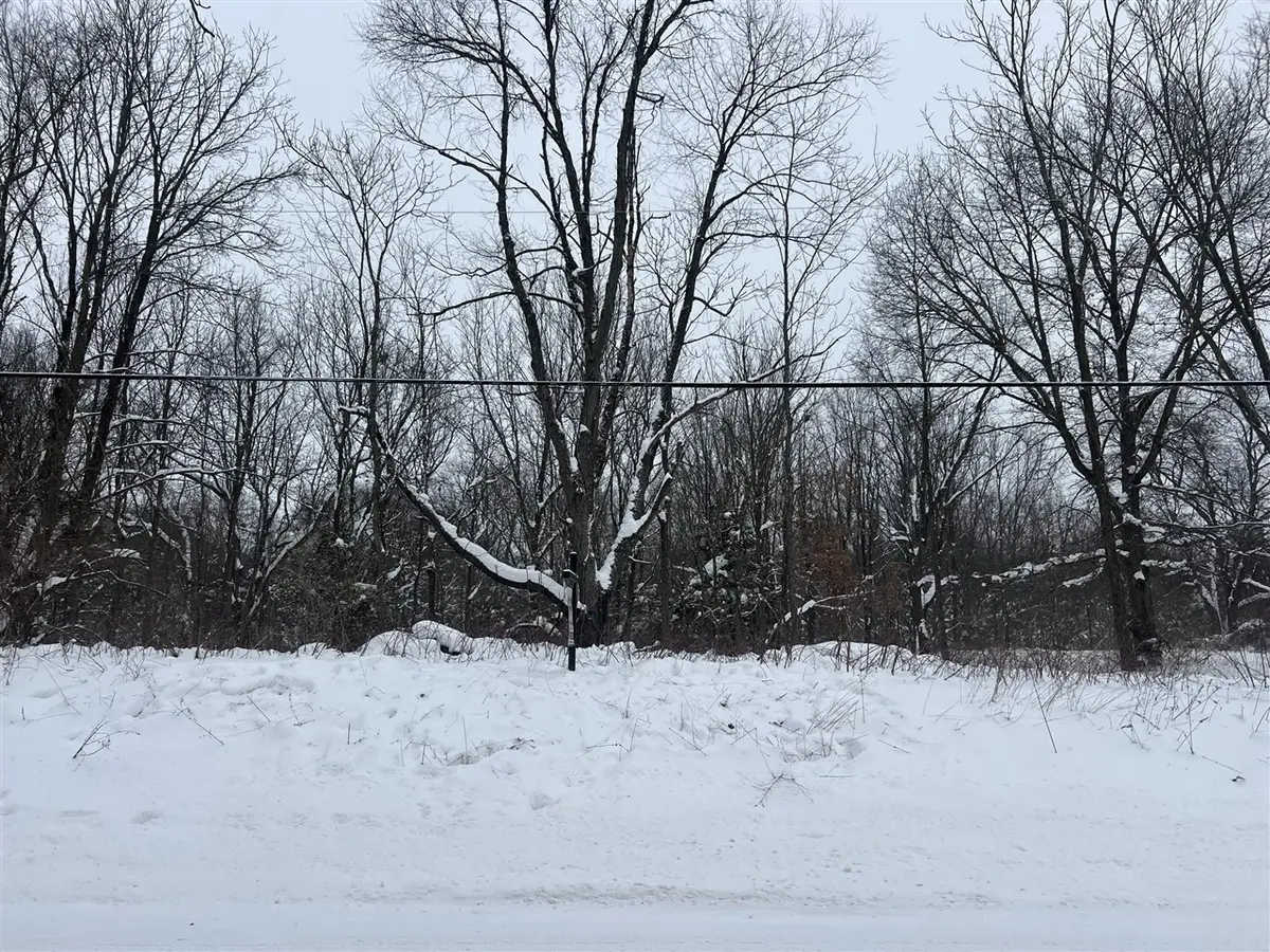 W Pq - Vacant Land Parcel D, Kalamazoo, MI 49009 - Image #1