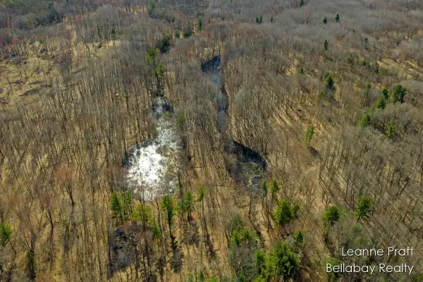 VL W Weidman, Weidman, MI 48893