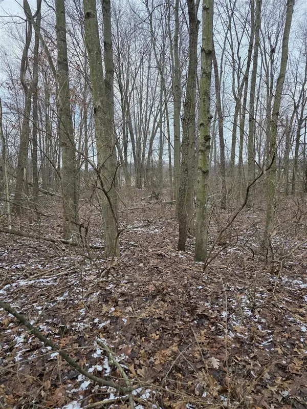 V/L Bronson, Plainwell, MI 49080