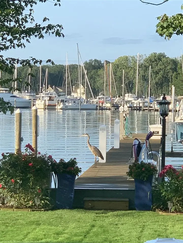 1738 Waukazoo, Holland, MI 49424 - #2
