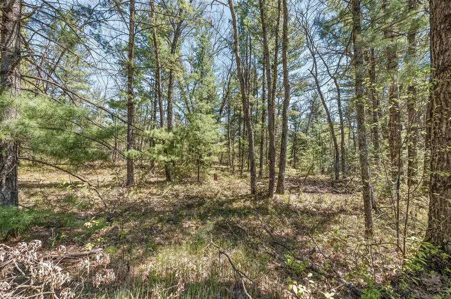 01 Bradby Blvd, Baldwin, MI 49304 - #2
