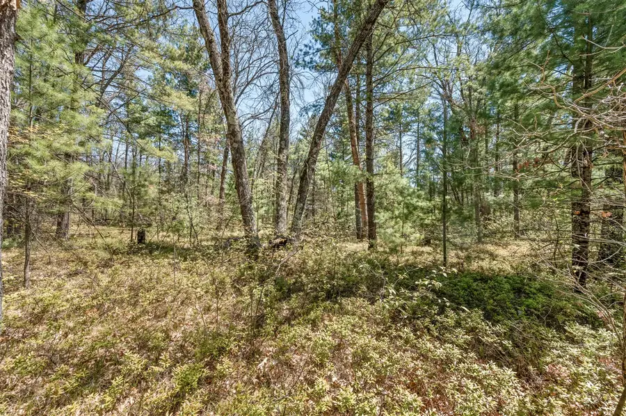 01 Bradby Blvd, Baldwin, MI 49304 - #3