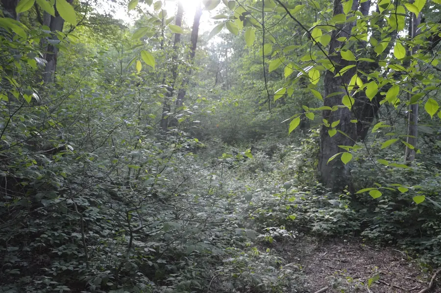 2528 Vanderbilt, Portage, MI 49024 - #2