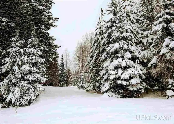 15169 Bellaire, Baraga, MI 49908