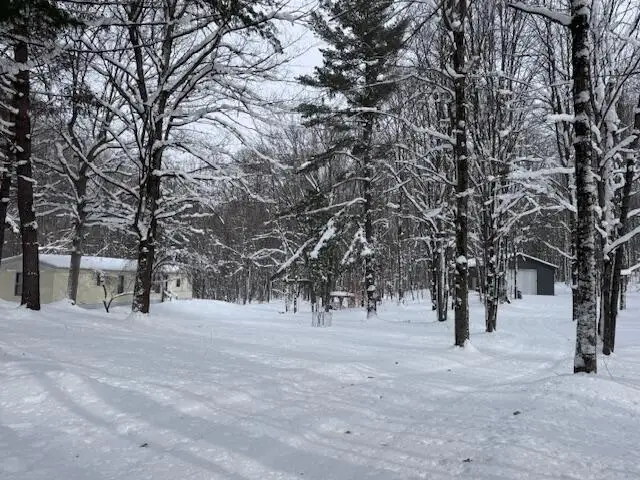 7808 E 48th, Chase, MI 49623 - #1