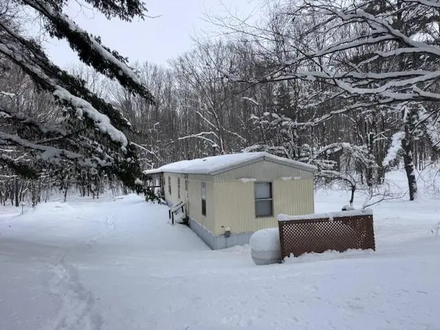 7808 E 48th, Chase, MI 49623 - #2