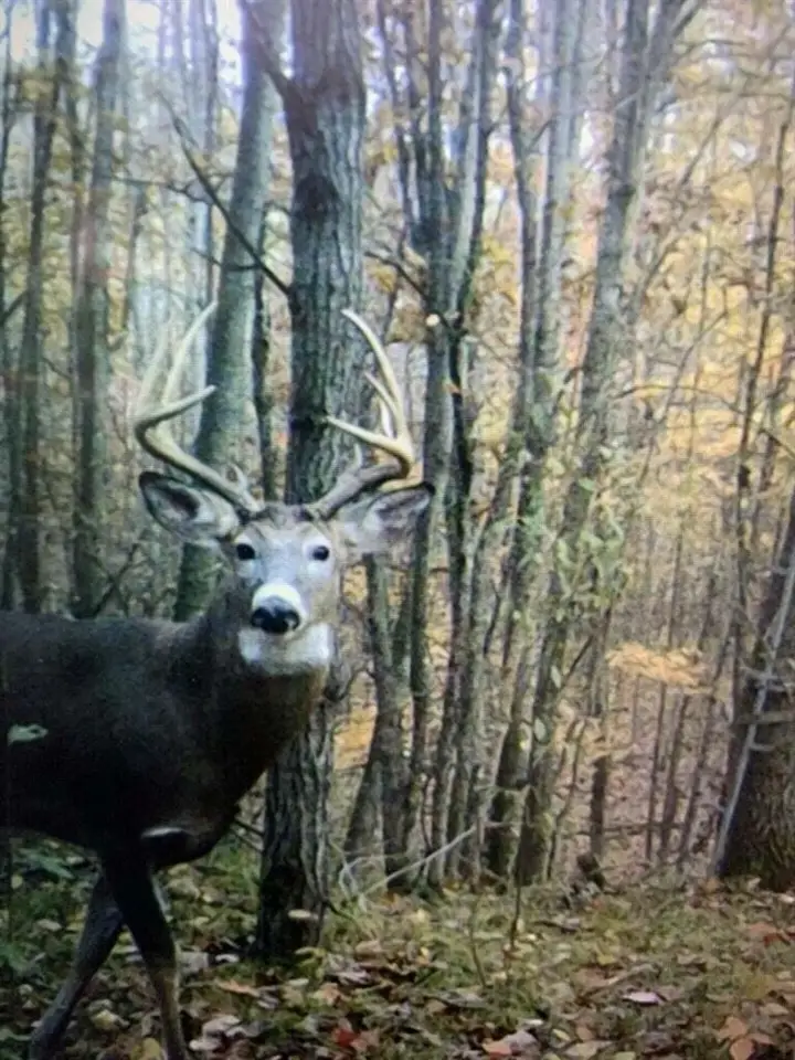 V/L 125th, Stanwood, MI 49346 - Image #1