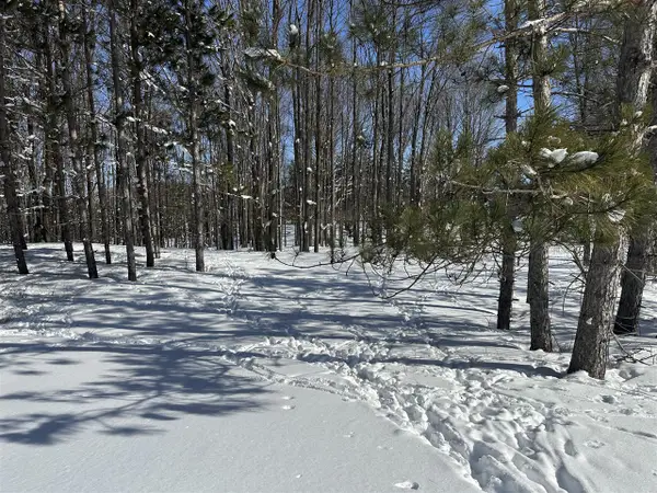 00 E 24, Cadillac, MI 49601