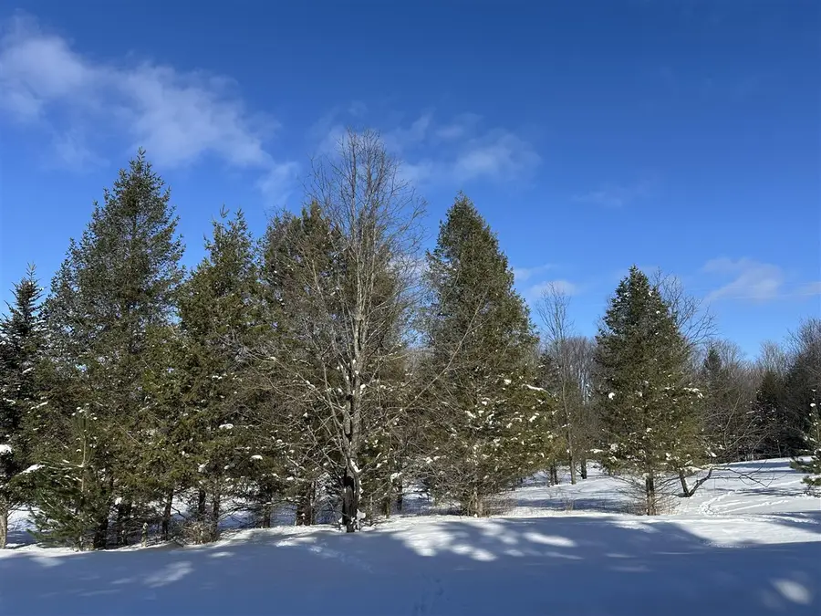 00 E 24, Cadillac, MI 49601 - #2