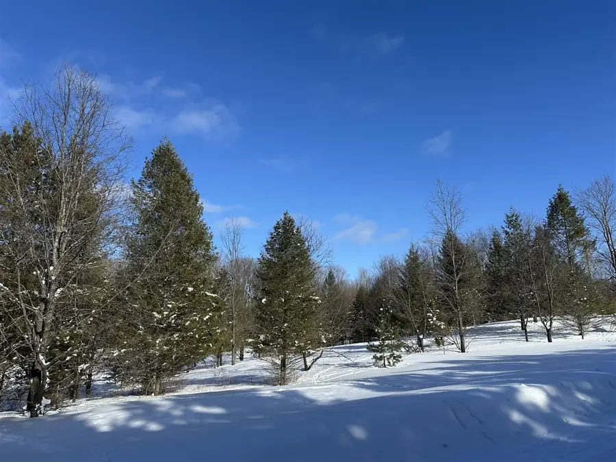 00 E 24, Cadillac, MI 49601 - #3