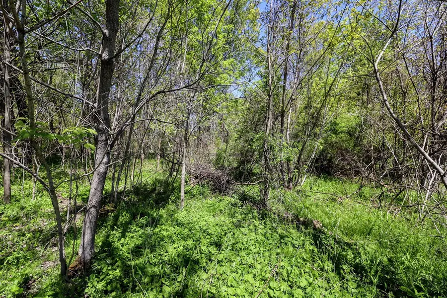 VL Vl 4th Ave & Benny Ct(private), Grand Junction, MI 49056 - Image #2