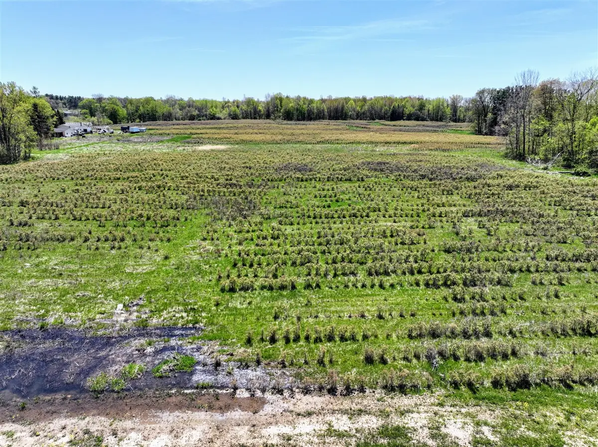 VL Benny Ct (private), Grand Junction, MI 49056 - Image #1