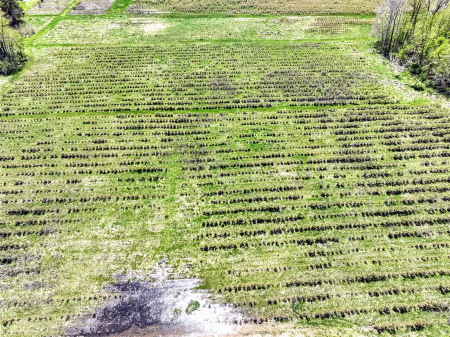 VL Benny Ct (private), Grand Junction, MI 49056 - Image #2