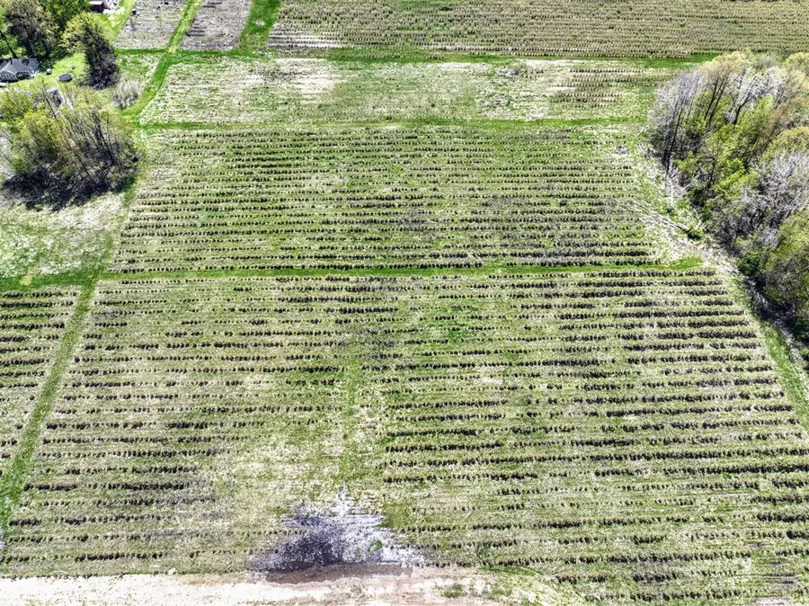 VL Benny Ct (private), Grand Junction, MI 49056 - Image #3