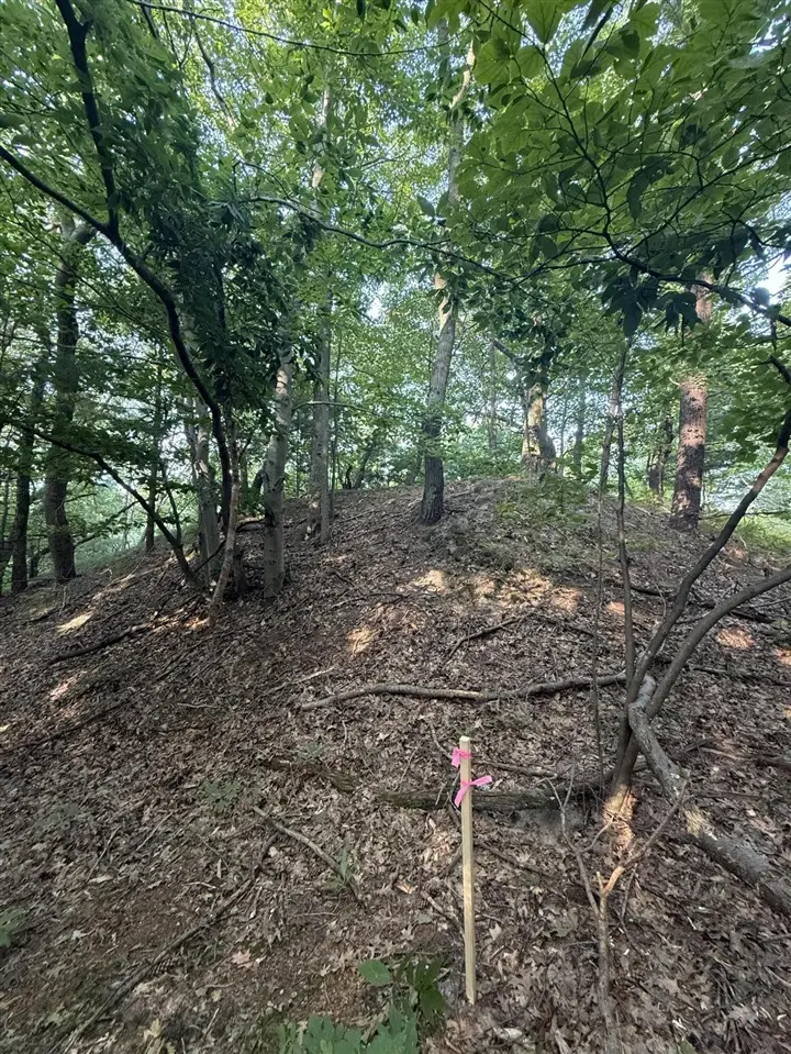 Lot G Hemlock, Shelby, MI 49455 - #3