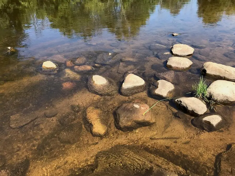 Lots 8 & 9 S Riverview, Hesperia, MI 49421 - #2